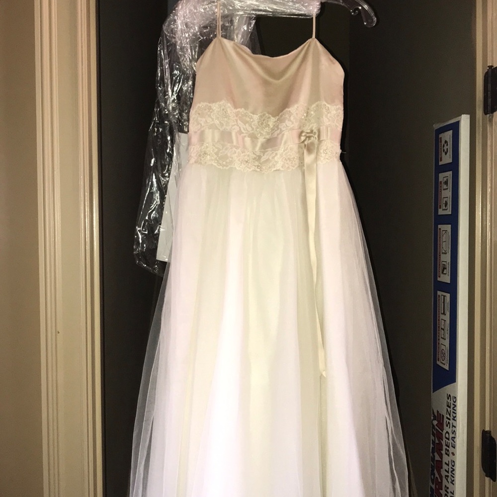 Champagne and ivory formal dress